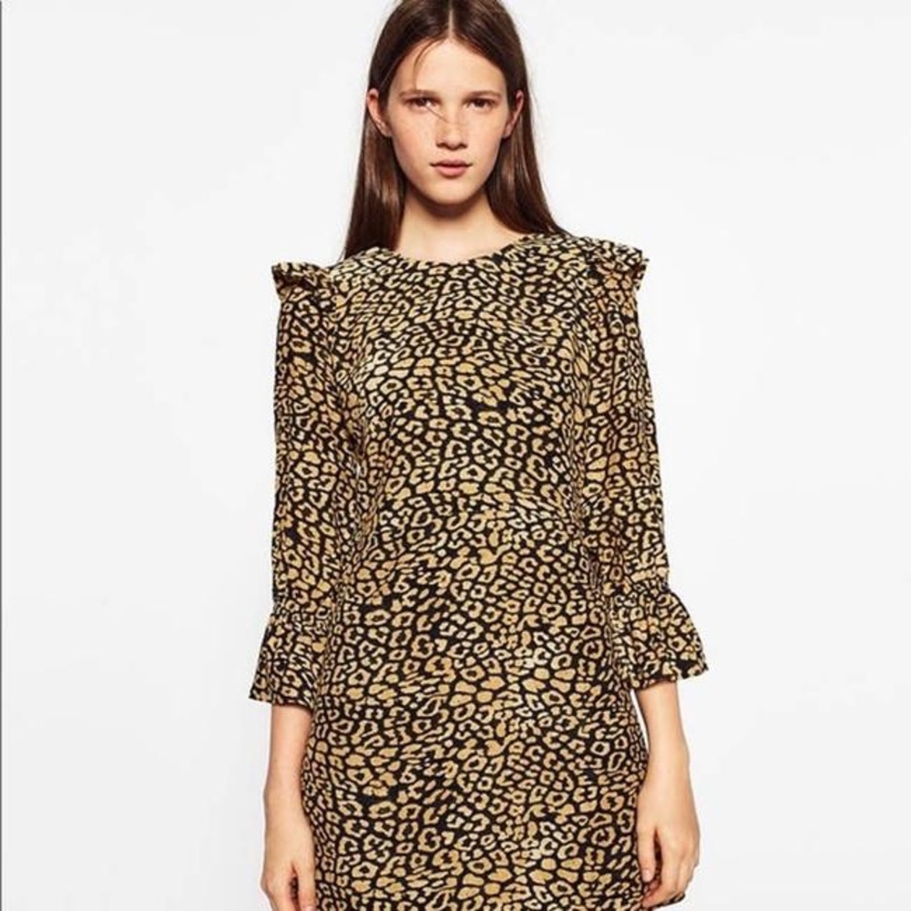 Zara - Animal Print Dress